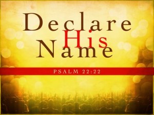 DECLARE HIS NAME