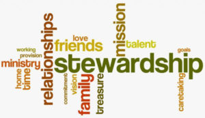 stewardship 1